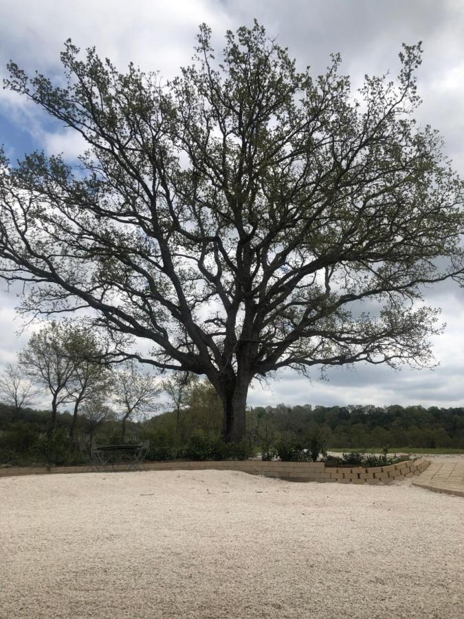 Agriturismo Antiglia Sovana Kültér fotó