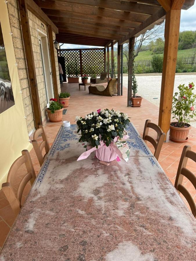 Agriturismo Antiglia Sovana Kültér fotó